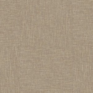0029 GENTLEMAN BEIGE