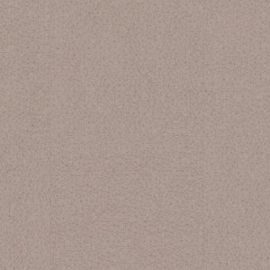 0035 SPIDER TAUPE
