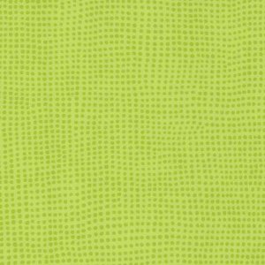 0515-diversion-kiwi