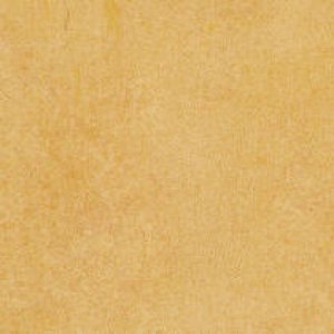 0808 Ocre