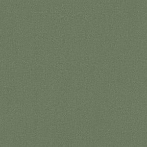 0842-olive