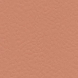 6146 CORAL