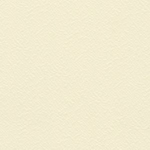 6273 WHITE
