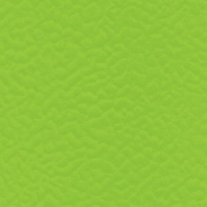 6559 SPRING