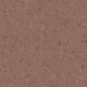 eclipse-peremium-21020768