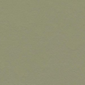 forbo-marmoleum-solid-walton-3355-rosemary-green