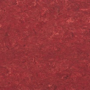 linoleum-306